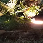 Le Due Palme Pensión 4*