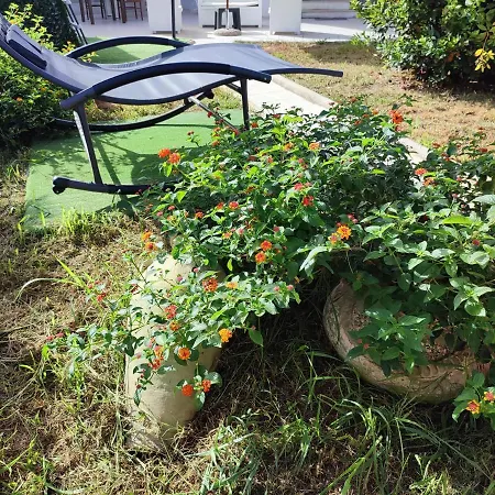 بيت ضيافة Le Due Palme مارسالا