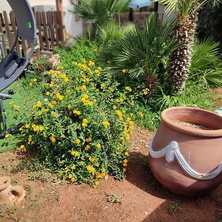 Guest house Le Due Palme